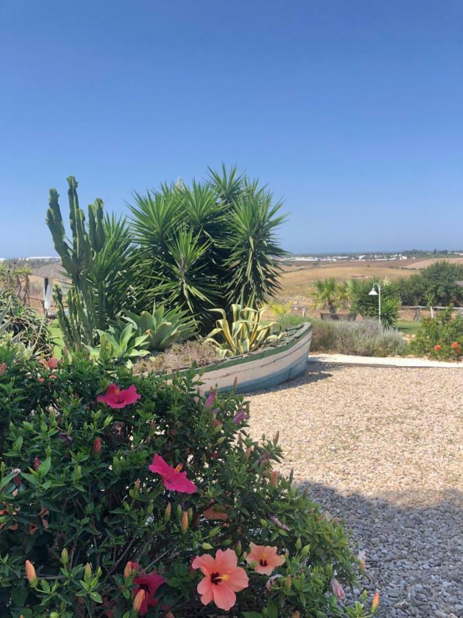 Finca Andalucia Conil De La Frontera Exterior foto